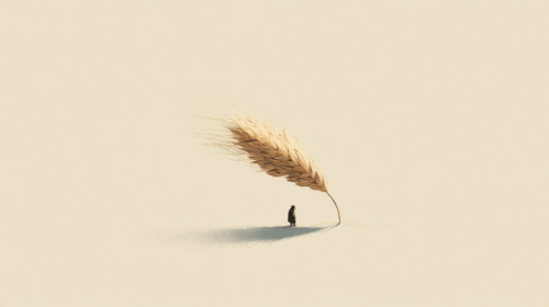 speculazione finanziaria cibo