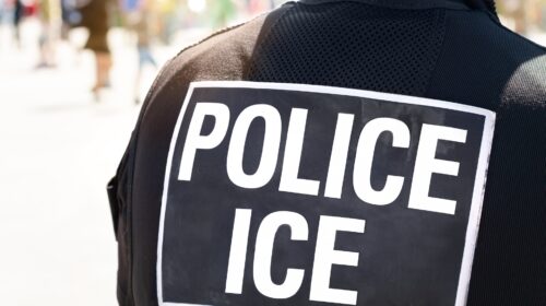 aziende che sostengono l'ice