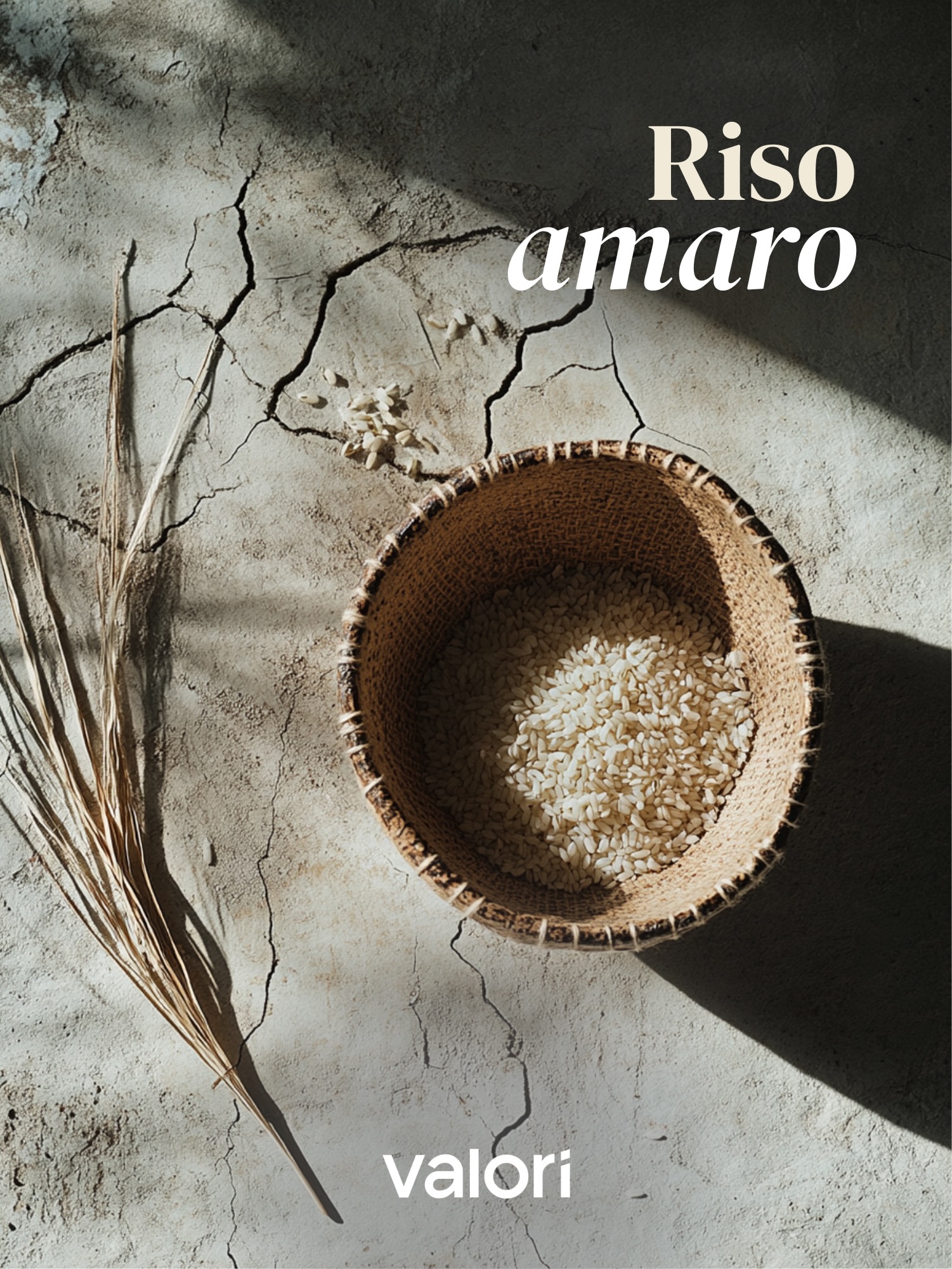 riso amaro ebook
