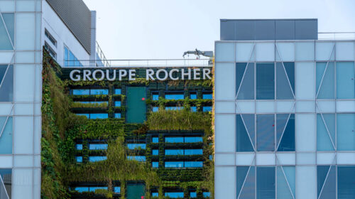 Gruppo Rocher due diligence Francia