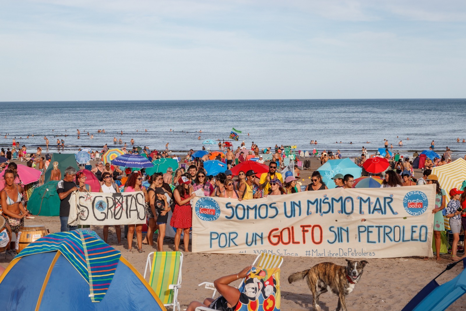 Multisectorial Golfo San Matías