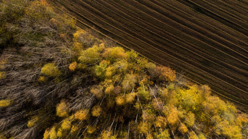 finanza e tutela della biodiversità
