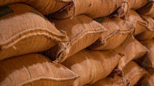 grano prezzi cibo guerra speculazione vinicius benedit unsplash