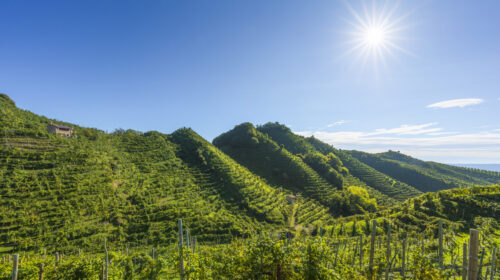 pesticidi prosecco