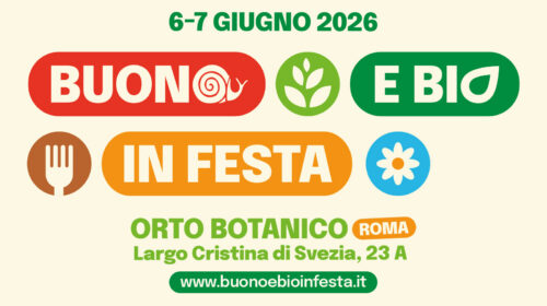 Buono e bio in festa