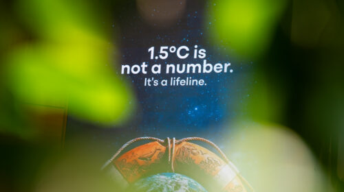 bonn cop31 clima