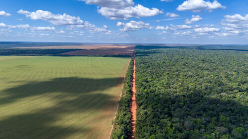 how to feed the planet