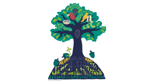 Albero che simboleggia l'ecosistema delle climate litigation nel report 2026