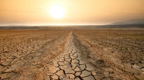Terreno agricolo riarso dalla siccità, effetto di El Niño sui raccolti e sui prezzi del cibo