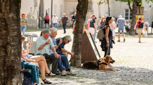 persone all'ombra degli alberi durante un'ondata di caldo in città