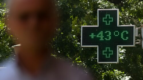 Insegna luminosa a croce verde di una farmacia che mostra una temperatura superiore ai 40 gradi centigradi, tra il fogliame degli alberi