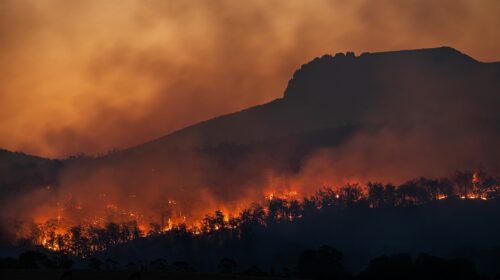 incendio boschivo notturno