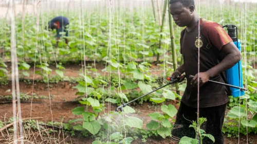 Agricoltore che spruzza pesticidi su un campo coltivato