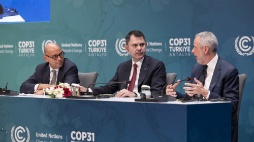 Cop31 in Turchia