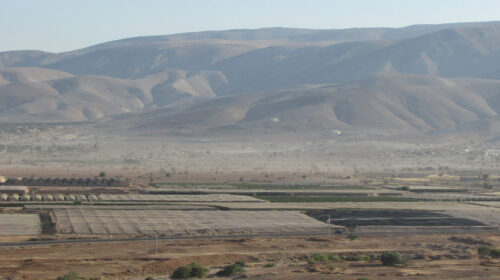 Coltivazioni agricole e serre nella valle del Giordano, zona da cui proviene parte dei prodotti degli insediamenti israeliani