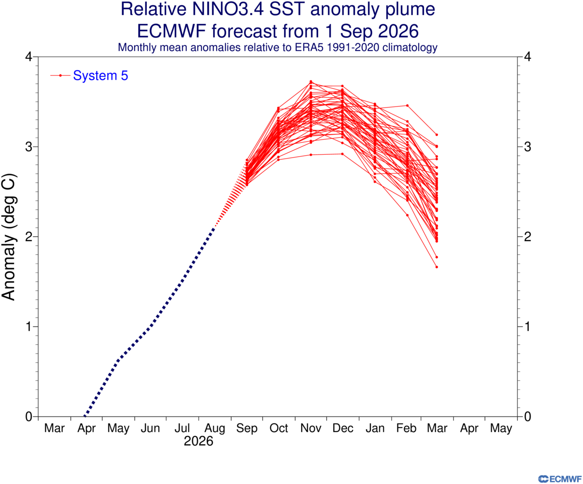 El Niño, le proiezioni Ecmwf del 1° settembre 2026: le linee rosse rappresentano i diversi scenari per l'anomalia della temperatura del Pacifico nella regione Niño 3.4. Più le linee sono vicine, più la previsione è affidabile e coerente; più si distanziano, più aumenta l'incertezza. La tendenza è chiara: si va verso anomalie fra +2,5 e +3,0 °C, valori da evento storico. Fonte: Ecmwf